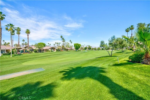 324 Sundance Cir, Palm Desert, CA 92211 - view of home's community featuring a yard