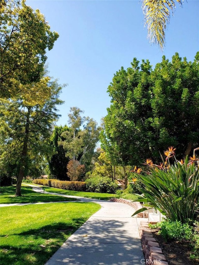 view of community with a lawn