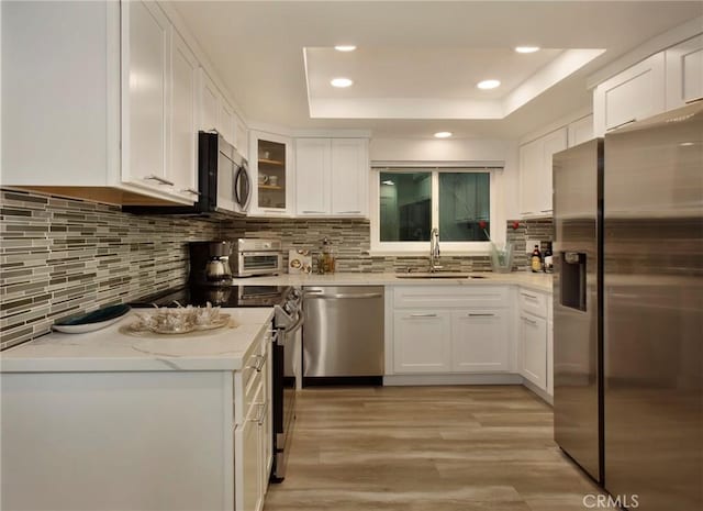 kitchen featuring white cabinetry, stainless steel appliances, a tray ceiling, and a sink