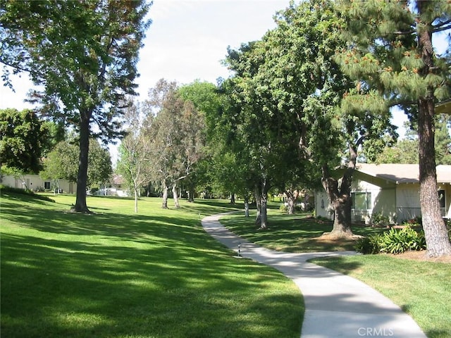 view of community with a lawn