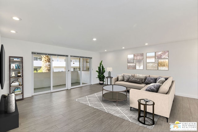 living room with wood-type flooring