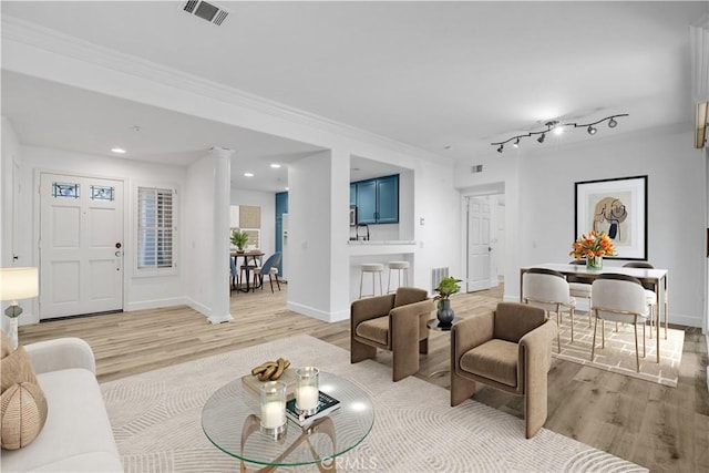 living room featuring light wood-type flooring and track lighting