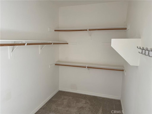 spacious closet with dark colored carpet