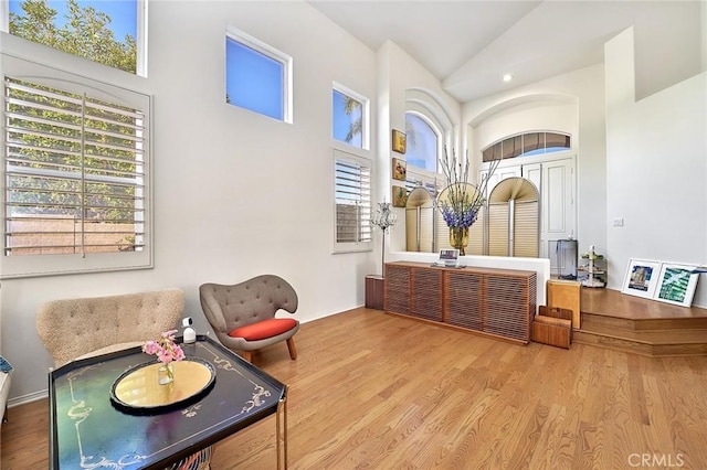 living area featuring high vaulted ceiling and light hardwood / wood-style flooring