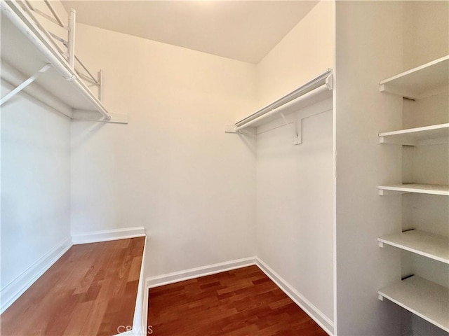 walk in closet with hardwood / wood-style floors