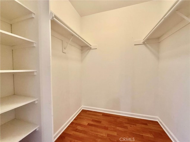 walk in closet with wood-type flooring