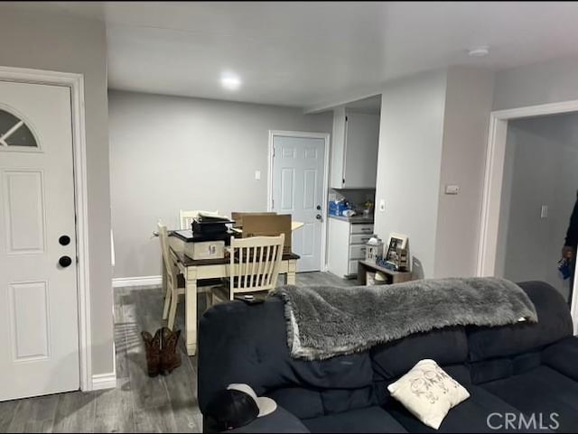 living room featuring hardwood / wood-style flooring