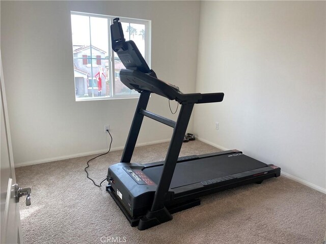 workout area featuring carpet floors