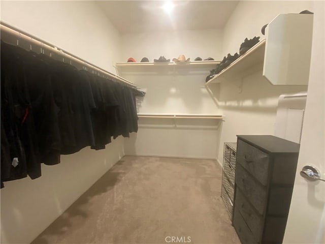 walk in closet with light carpet