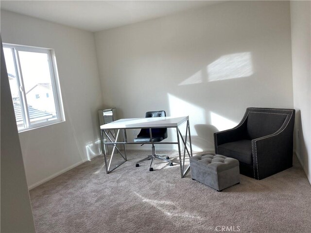 office with carpet floors