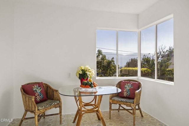 interior space with carpet floors and plenty of natural light