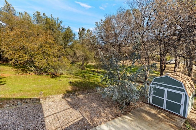 view of yard with a storage shed and an outdoor structure