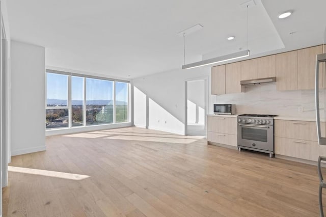 kitchen with a mountain view, stainless steel appliances, light brown cabinetry, and light hardwood / wood-style flooring