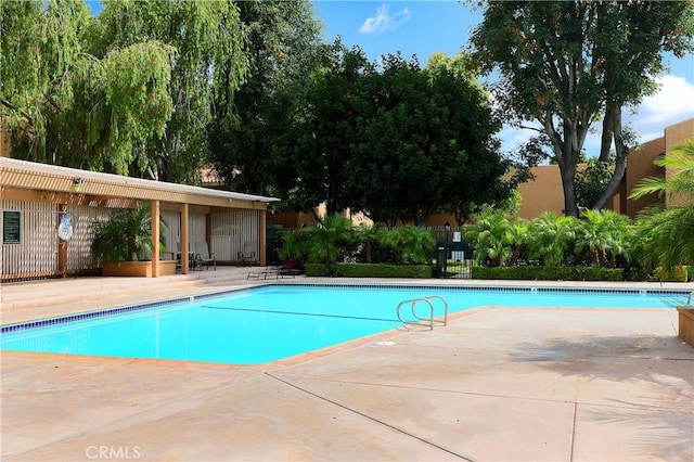 view of swimming pool with a patio