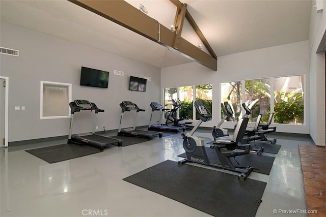 gym featuring plenty of natural light and high vaulted ceiling