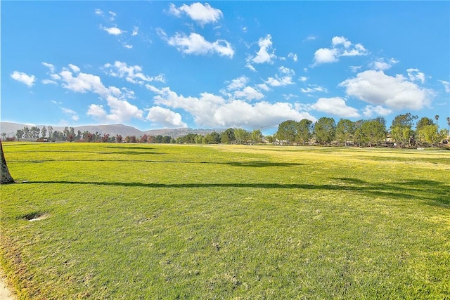 surrounding community with a yard, a mountain view, and a rural view