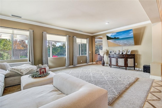 living room featuring crown molding