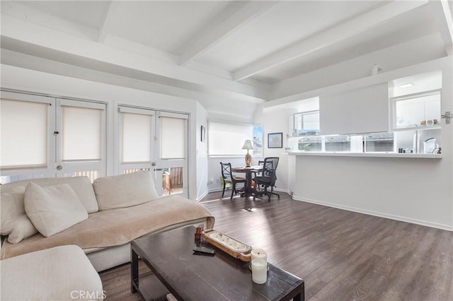 253 Fairview St, Laguna Beach, CA 92651 - living room with baseboards, dark wood-style flooring, and beamed ceiling