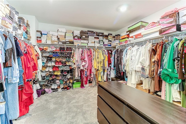 spacious closet with carpet