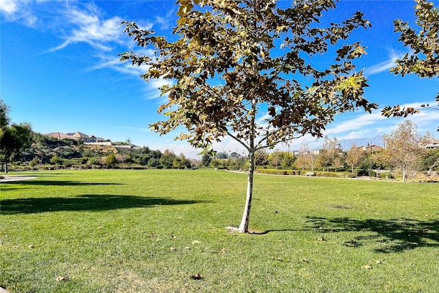 view of property's community featuring a lawn