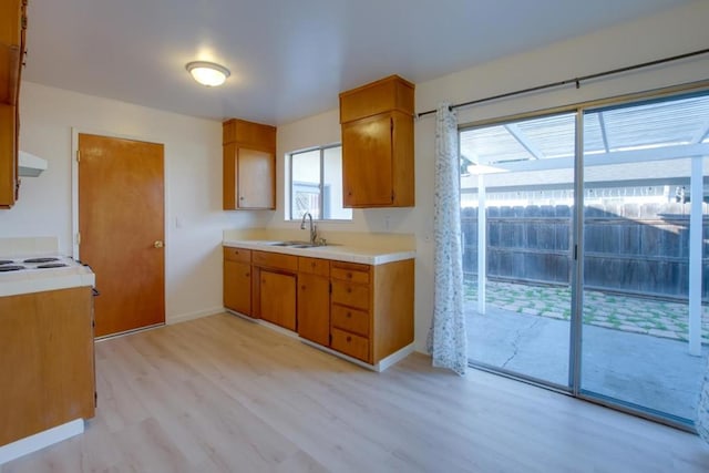 kitchen with ventilation hood, sink, and light wood-type flooring