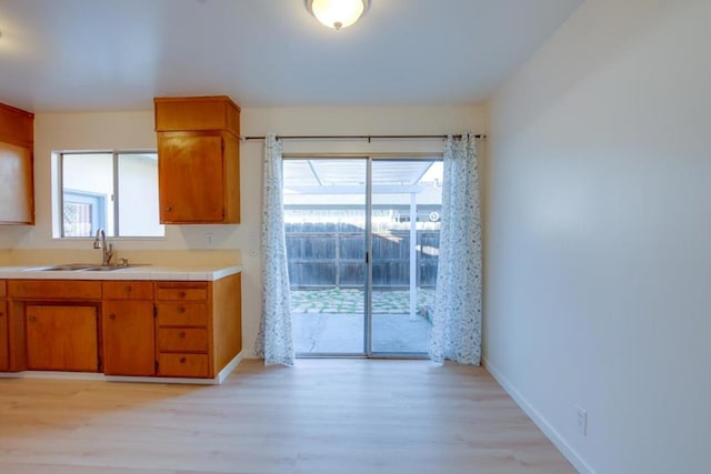 kitchen with sink and light wood-type flooring