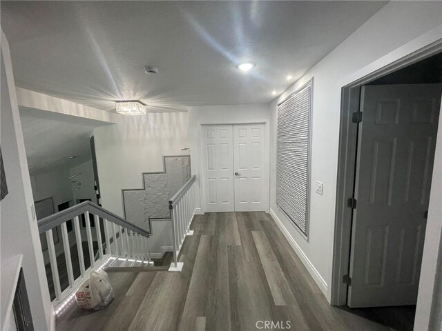 hallway featuring dark hardwood / wood-style floors