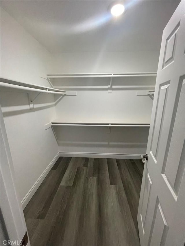 spacious closet with dark hardwood / wood-style floors