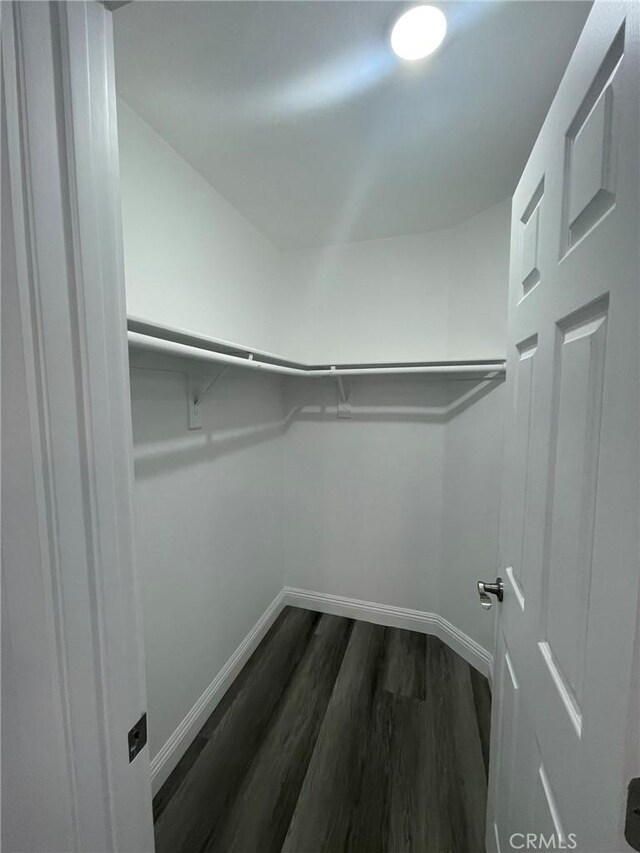 walk in closet with dark wood-type flooring