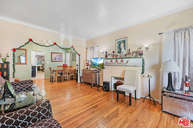 living room with light hardwood / wood-style floors