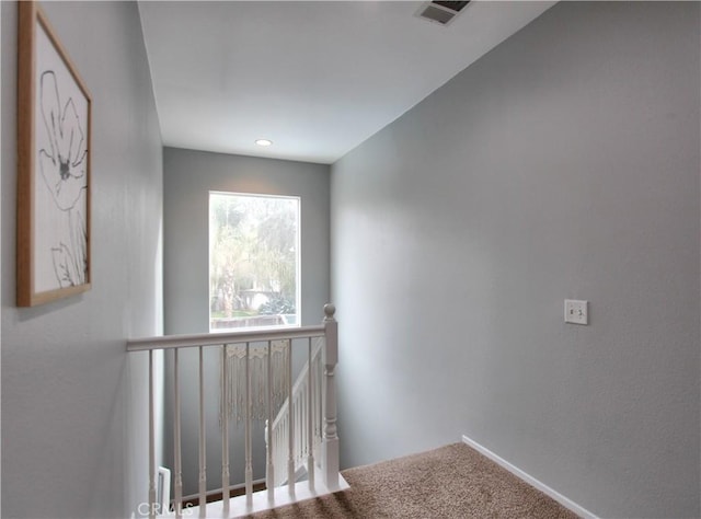 staircase featuring carpet floors