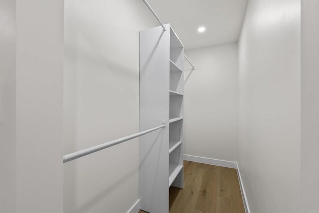 spacious closet featuring wood-type flooring