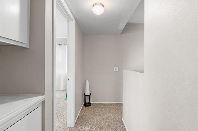 laundry area with light carpet