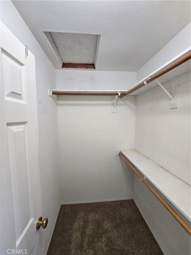 walk in closet featuring dark colored carpet