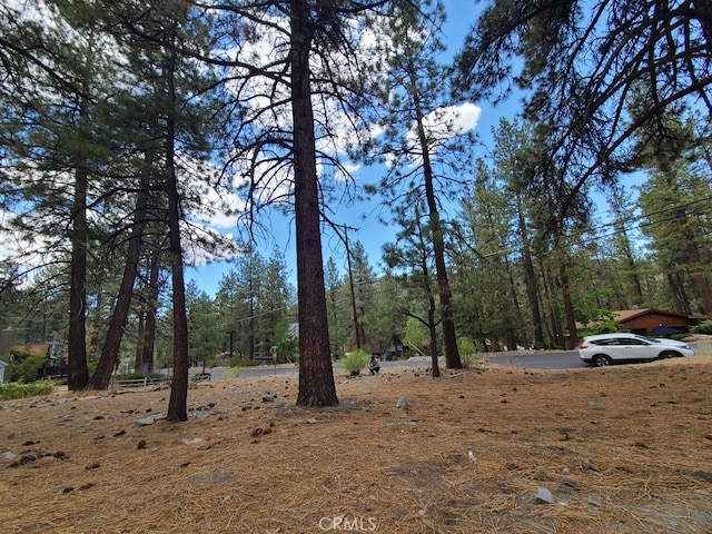 Listing photo 2 for 0 Lodgepole Dr, Wrightwood CA 92397