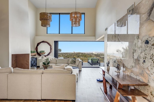 living room featuring hardwood / wood-style flooring and a high ceiling