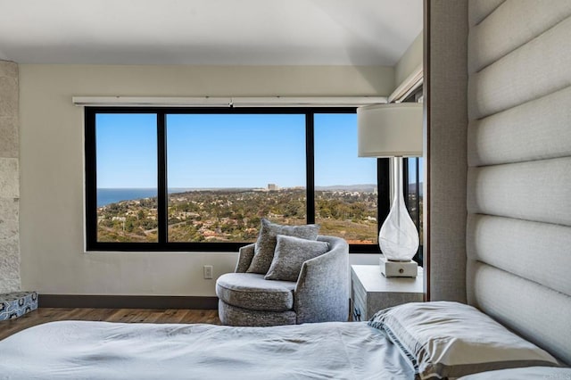 bedroom featuring dark hardwood / wood-style floors and multiple windows