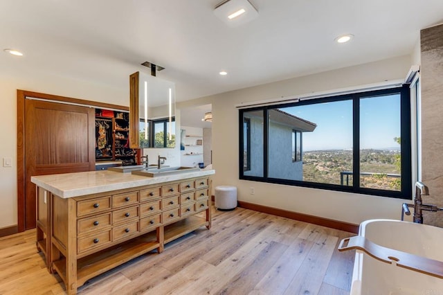 bathroom featuring hardwood / wood-style flooring and vanity