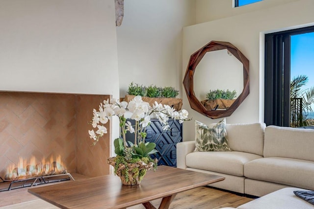 living room with wood-type flooring