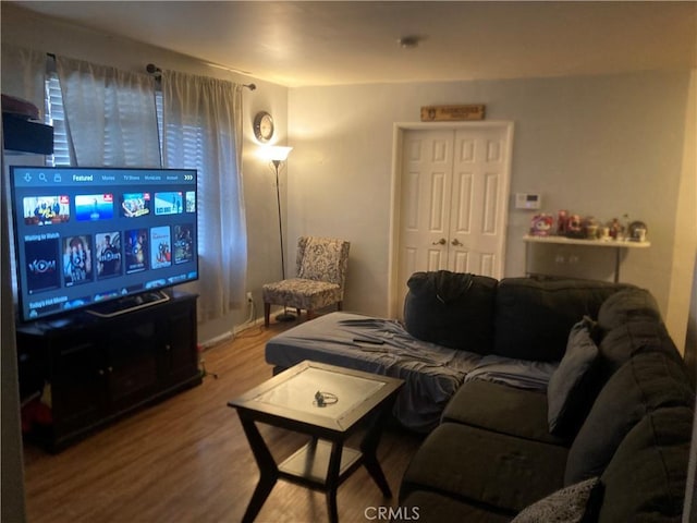 living room featuring wood-type flooring