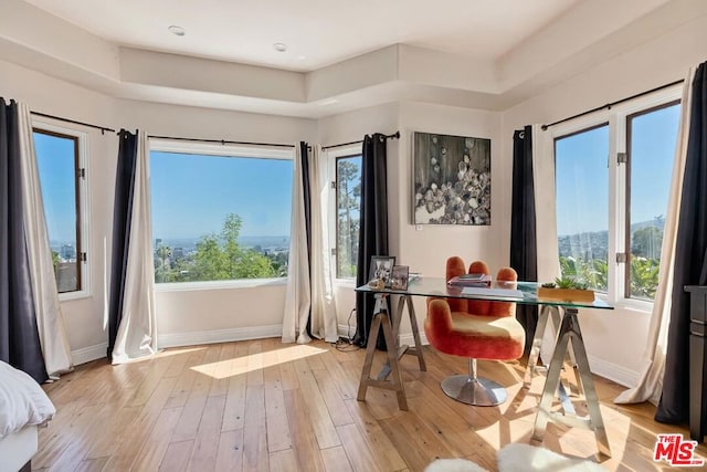 dining room featuring a raised ceiling, a mountain view, and light hardwood / wood-style flooring