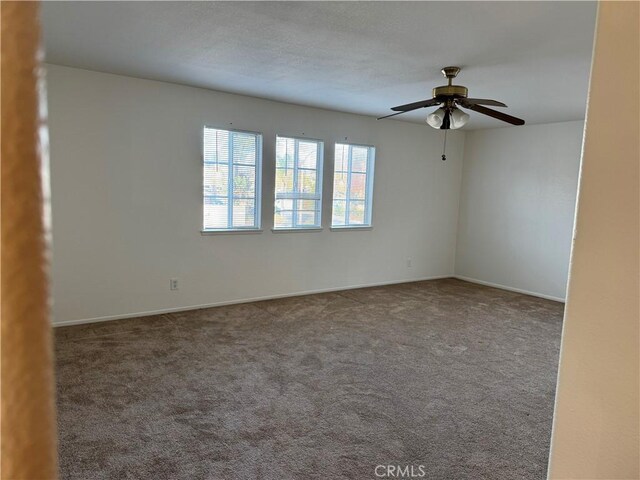 spare room with ceiling fan and carpet flooring