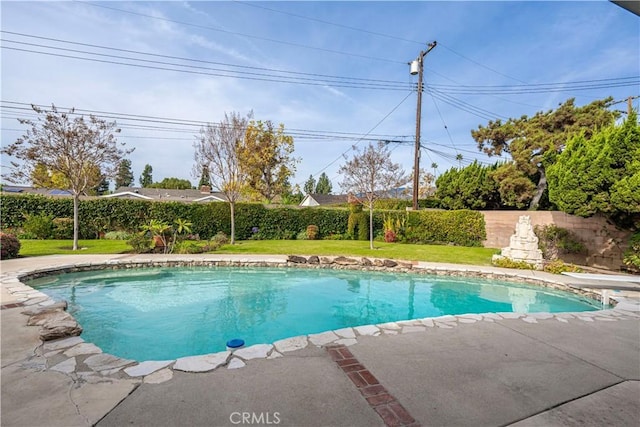 view of pool with a yard and a patio area