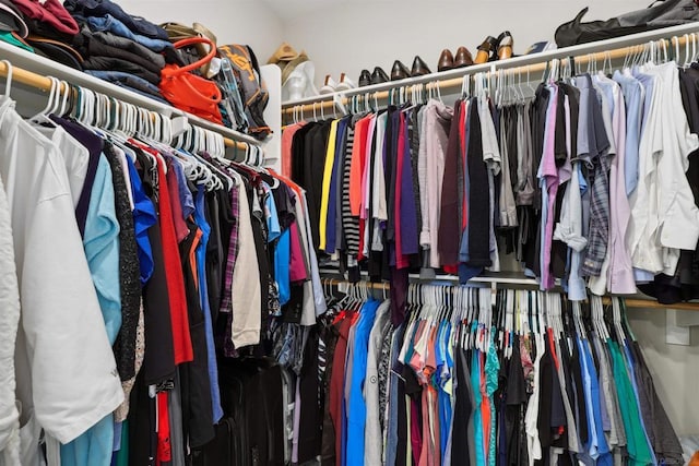 view of walk in closet