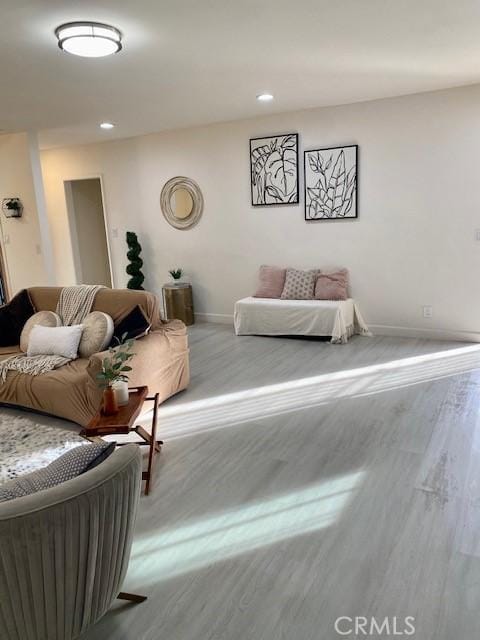 living room featuring light hardwood / wood-style flooring