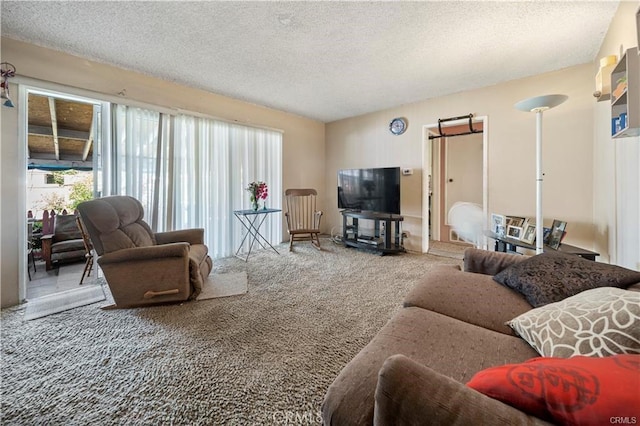 carpeted living room with a textured ceiling