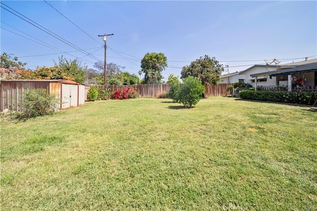 view of yard with a storage shed