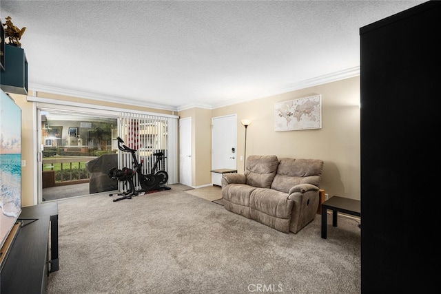 living room with carpet flooring, a textured ceiling, and ornamental molding