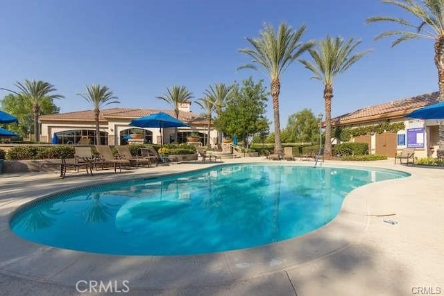 view of swimming pool with a patio