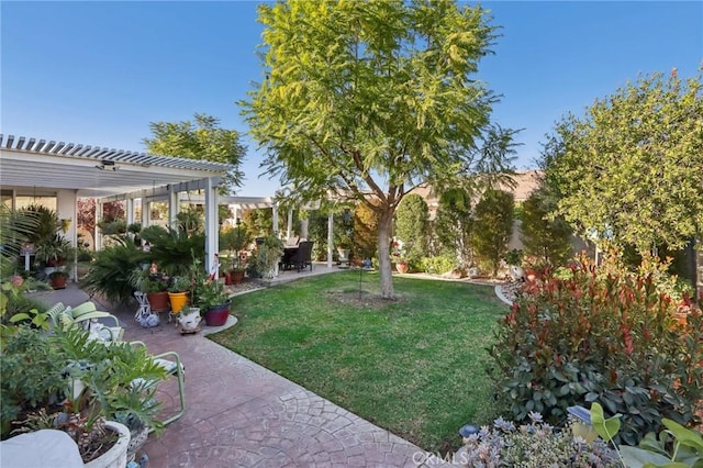 view of yard with a pergola and a patio